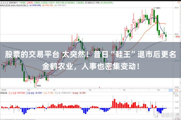 股票的交易平台 太突然！昔日“鞋王”退市后更名金鹤农业，人事也密集变动！