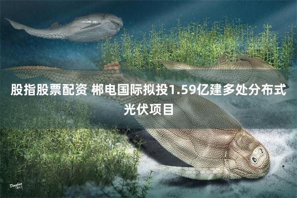股指股票配资 郴电国际拟投1.59亿建多处分布式光伏项目