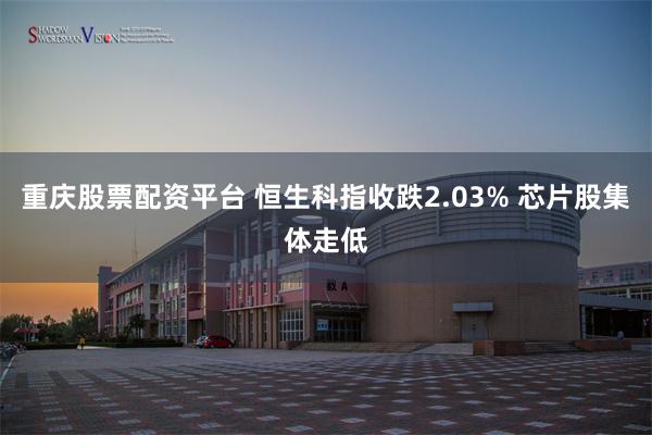重庆股票配资平台 恒生科指收跌2.03% 芯片股集体走低