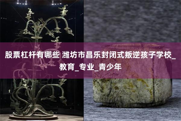股票杠杆有哪些 潍坊市昌乐封闭式叛逆孩子学校_教育_专业_青少年