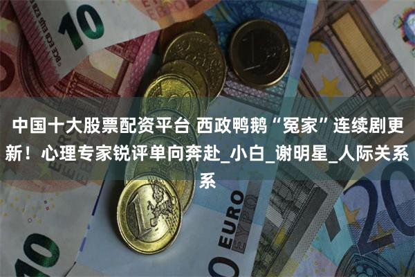 中国十大股票配资平台 西政鸭鹅“冤家”连续剧更新！心理专家锐评单向奔赴_小白_谢明星_人际关系
