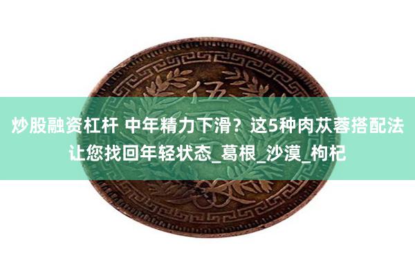 炒股融资杠杆 中年精力下滑？这5种肉苁蓉搭配法让您找回年轻状态_葛根_沙漠_枸杞