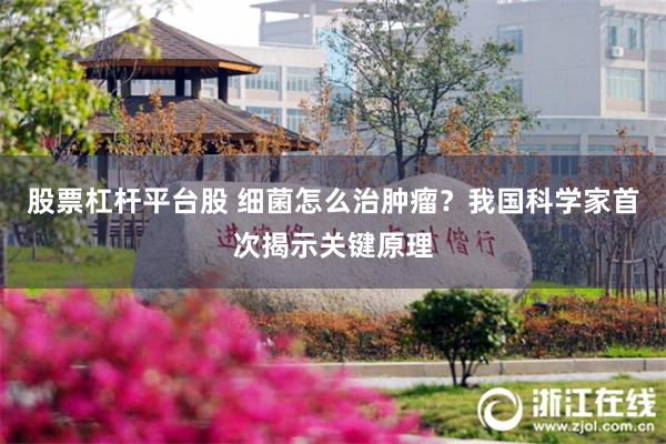股票杠杆平台股 细菌怎么治肿瘤？我国科学家首次揭示关键原理