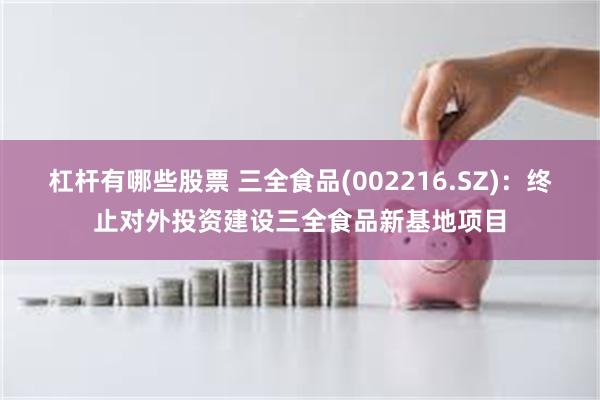 杠杆有哪些股票 三全食品(002216.SZ)：终止对外投资建设三全食品新基地项目