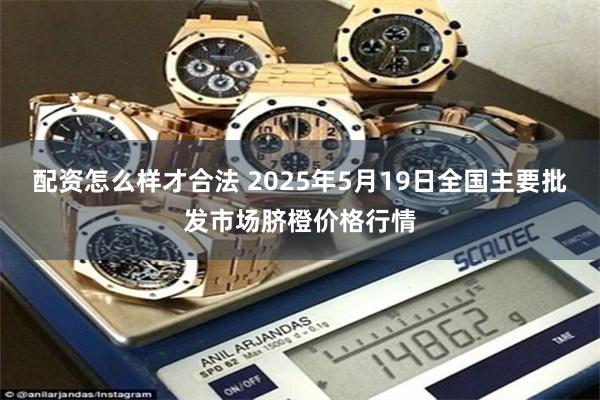 配资怎么样才合法 2025年5月19日全国主要批发市场脐橙价格行情