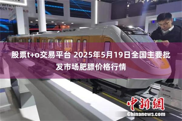 股票t+o交易平台 2025年5月19日全国主要批发市场肥膘价格行情