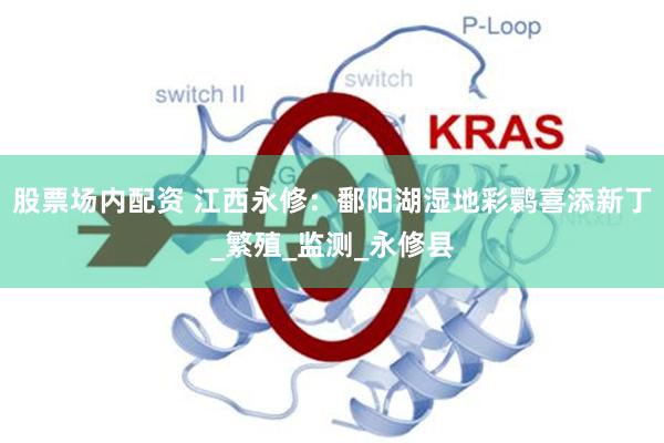 股票场内配资 江西永修：鄱阳湖湿地彩鹮喜添新丁_繁殖_监测_永修县