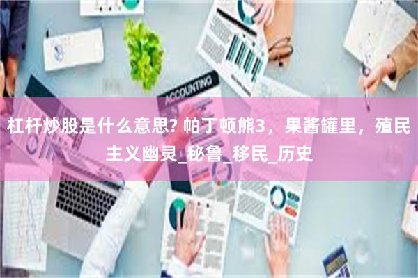 杠杆炒股是什么意思? 帕丁顿熊3，果酱罐里，殖民主义幽灵_秘鲁_移民_历史