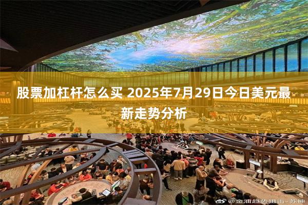 股票加杠杆怎么买 2025年7月29日今日美元最新走势分析