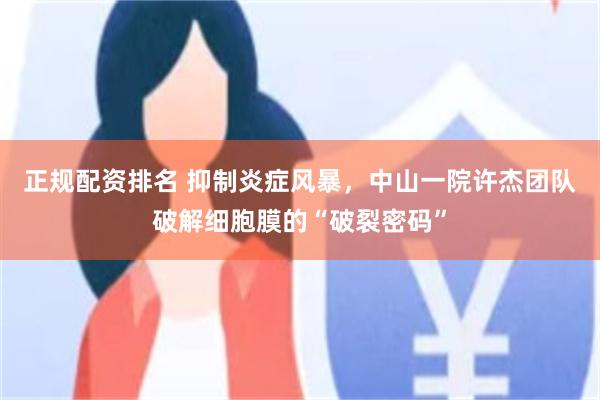 正规配资排名 抑制炎症风暴，中山一院许杰团队破解细胞膜的“破裂密码”