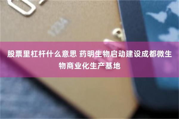 股票里杠杆什么意思 药明生物启动建设成都微生物商业化生产基地