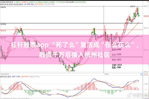 杠杆股票app “死了么”复活成“在么在么”，融资千万后接入杭州社区