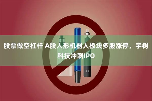 股票做空杠杆 A股人形机器人板块多股涨停,宇树科技冲刺IPO