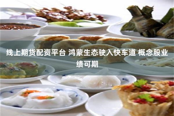 线上期货配资平台 鸿蒙生态驶入快车道 概念股业绩可期