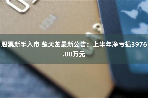 股票新手入市 楚天龙最新公告：上半年净亏损3976.88万元