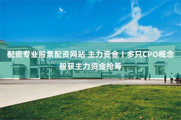 配资专业股票配资网站 主力资金丨多只CPO概念股获主力资金抢筹