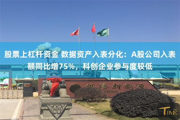 股票上杠杆资金 数据资产入表分化：A股公司入表额同比增75%，科创企业参与度较低