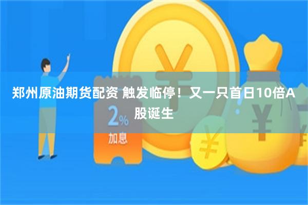 郑州原油期货配资 触发临停！又一只首日10倍A股诞生