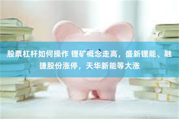股票杠杆如何操作 锂矿概念走高，盛新锂能、融捷股份涨停，天华新能等大涨