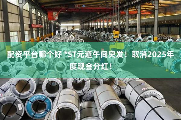 配资平台哪个好 *ST元道午间突发！取消2025年度现金分红！