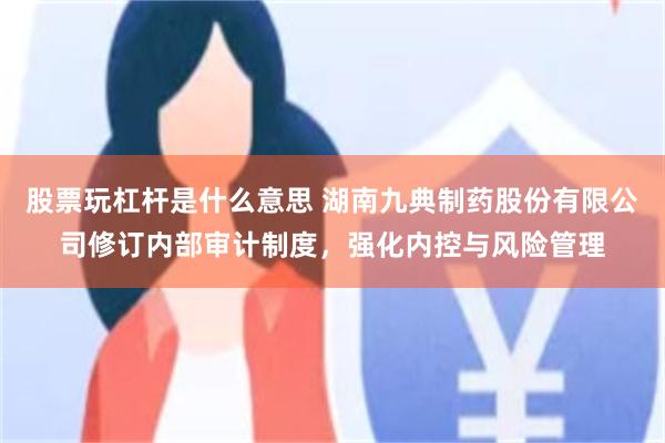 股票玩杠杆是什么意思 湖南九典制药股份有限公司修订内部审计制度，强化内控与风险管理
