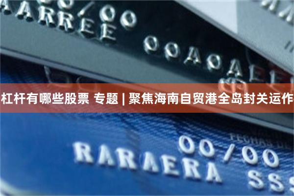 杠杆有哪些股票 专题 | 聚焦海南自贸港全岛封关运作