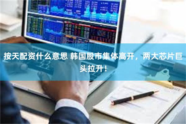 按天配资什么意思 韩国股市集体高开，两大芯片巨头拉升！