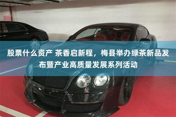 股票什么资产 茶香启新程，梅县举办绿茶新品发布暨产业高质量发展系列活动