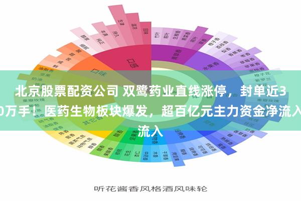 北京股票配资公司 双鹭药业直线涨停，封单近30万手！医药生物板块爆发，超百亿元主力资金净流入