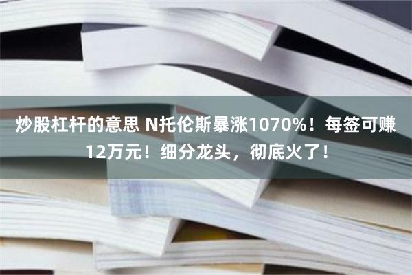 炒股杠杆的意思 N托伦斯暴涨1070%！每签可赚12万元！细分龙头，彻底火了！