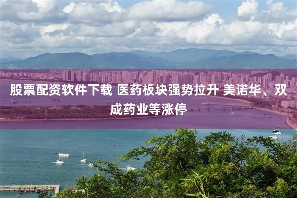 股票配资软件下载 医药板块强势拉升 美诺华、双成药业等涨停