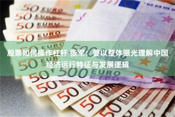 股票如何操作杠杆 张军:要以整体眼光理解中国经济运行特征与发展逻辑