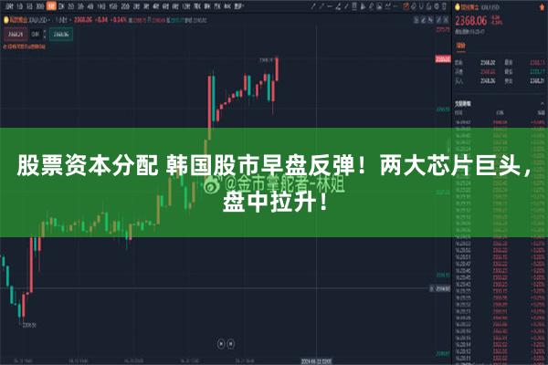 股票资本分配 韩国股市早盘反弹！两大芯片巨头，盘中拉升！