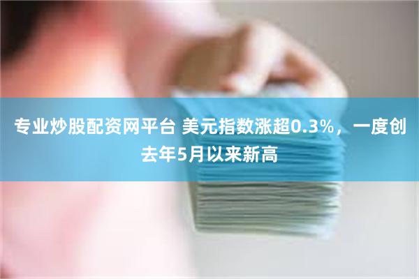 专业炒股配资网平台 美元指数涨超0.3%，一度创去年5月以来新高