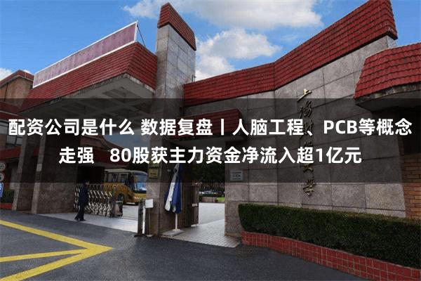 配资公司是什么 数据复盘丨人脑工程、PCB等概念走强   80股获主力资金净流入超1亿元