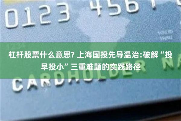 杠杆股票什么意思? 上海国投先导温治:破解“投早投小”三重难题的实践路径