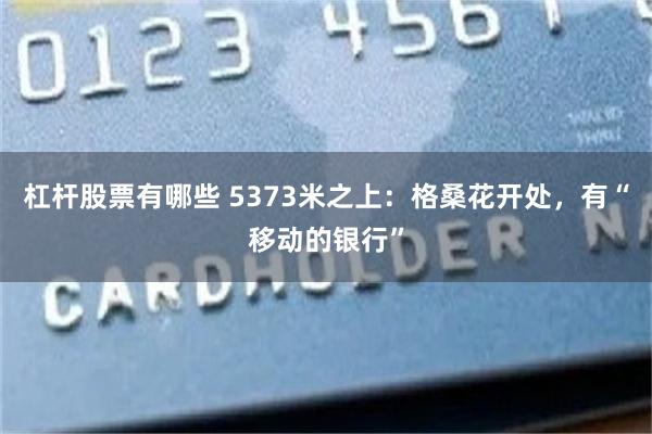 杠杆股票有哪些 5373米之上：格桑花开处，有“移动的银行”