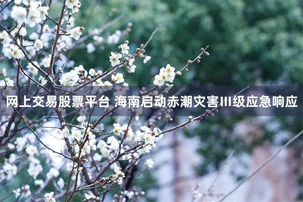 网上交易股票平台 海南启动赤潮灾害Ⅲ级应急响应