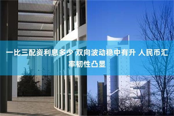 一比三配资利息多少 双向波动稳中有升 人民币汇率韧性凸显