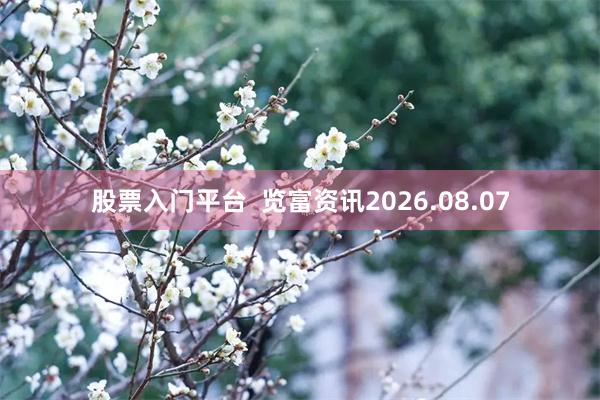 股票入门平台  览富资讯2026.08.07