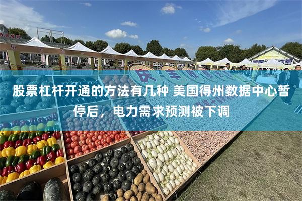 股票杠杆开通的方法有几种 美国得州数据中心暂停后，电力需求预测被下调