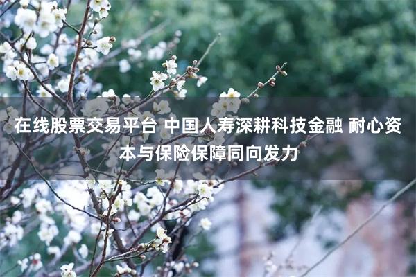 在线股票交易平台 中国人寿深耕科技金融 耐心资本与保险保障同向发力