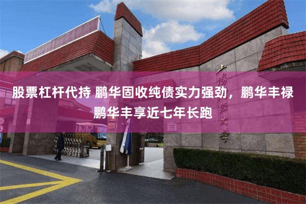 股票杠杆代持 鹏华固收纯债实力强劲，鹏华丰禄鹏华丰享近七年长跑