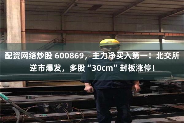 配资网络炒股 600869，主力净买入第一！北交所逆市爆发，多股“30cm”封板涨停！