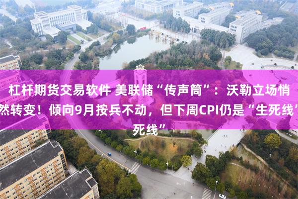 杠杆期货交易软件 美联储“传声筒”：沃勒立场悄然转变！倾向9月按兵不动，但下周CPI仍是“生死线”