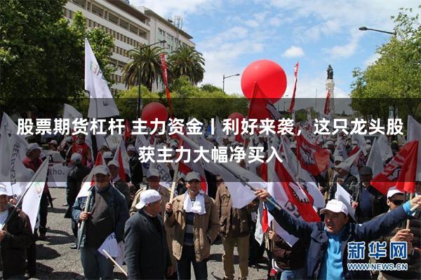 股票期货杠杆 主力资金丨利好来袭，这只龙头股获主力大幅净买入
