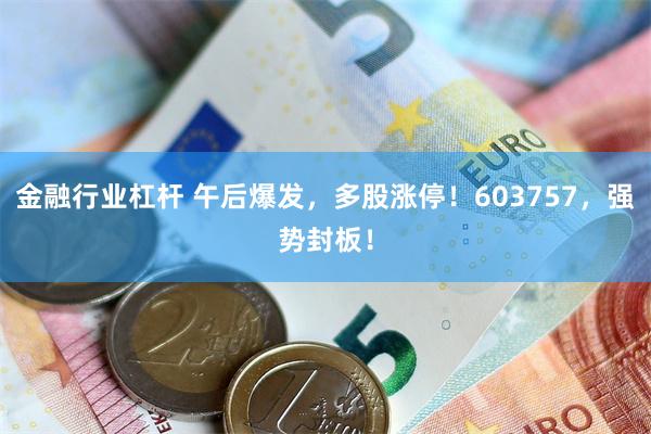 金融行业杠杆 午后爆发，多股涨停！603757，强势封板！