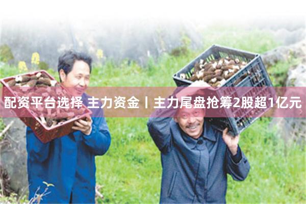 配资平台选择 主力资金丨主力尾盘抢筹2股超1亿元