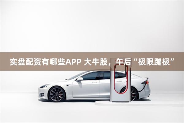 实盘配资有哪些APP 大牛股，午后“极限蹦极”
