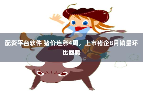 配资平台软件 猪价连涨4周，上市猪企8月销量环比回暖